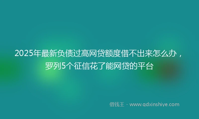 2025年最新负债过高网贷额度借不出来怎么办，罗列5个征信花了能网贷的平台