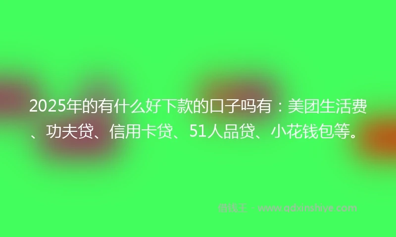 2025年的有什么好下款的口子吗有：美团生活费、功夫贷、信用卡贷、51人品贷、小花钱包等。