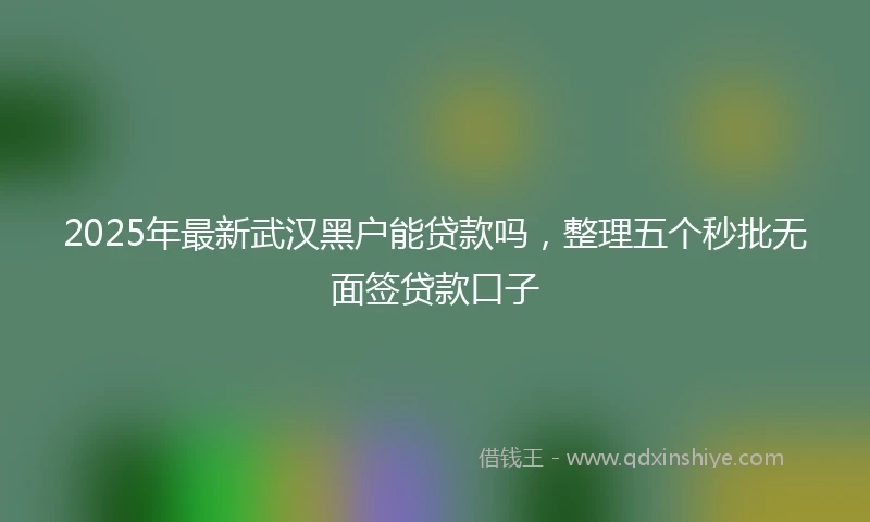 2025年最新武汉黑户能贷款吗，整理五个秒批无面签贷款口子