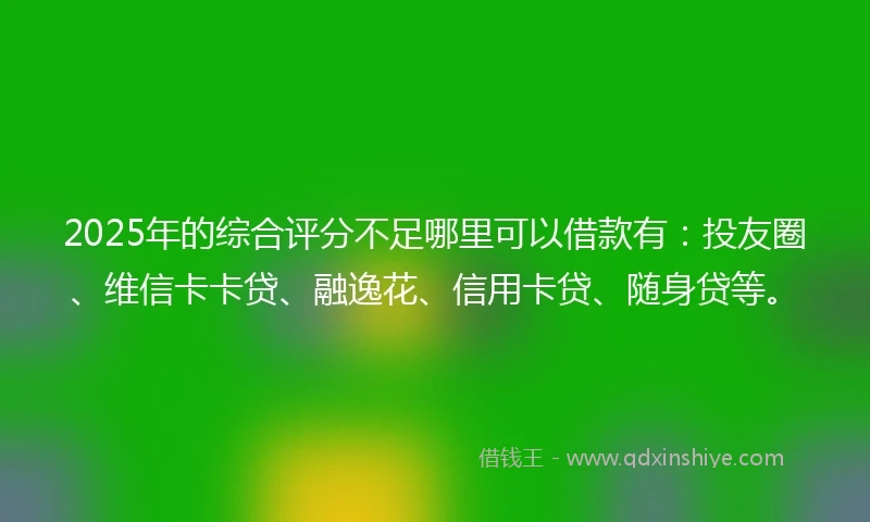 2025年的综合评分不足哪里可以借款有：投友圈、维信卡卡贷、融逸花、信用卡贷、随身贷等。