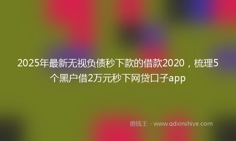 2025年最新无视负债秒下款的借款2020，梳理5个黑户借2万元秒下网贷口子app