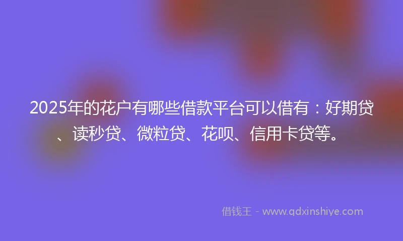 2025年的花户有哪些借款平台可以借有：好期贷、读秒贷、微粒贷、花呗、信用卡贷等。