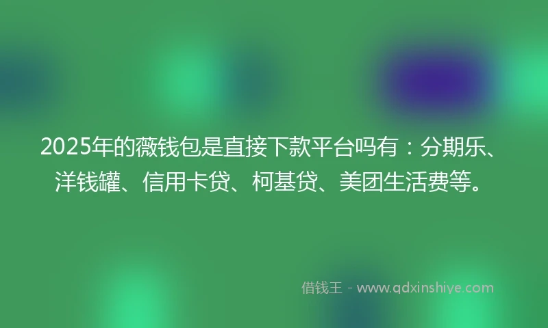 2025年的薇钱包是直接下款平台吗有：分期乐、洋钱罐、信用卡贷、柯基贷、美团生活费等。