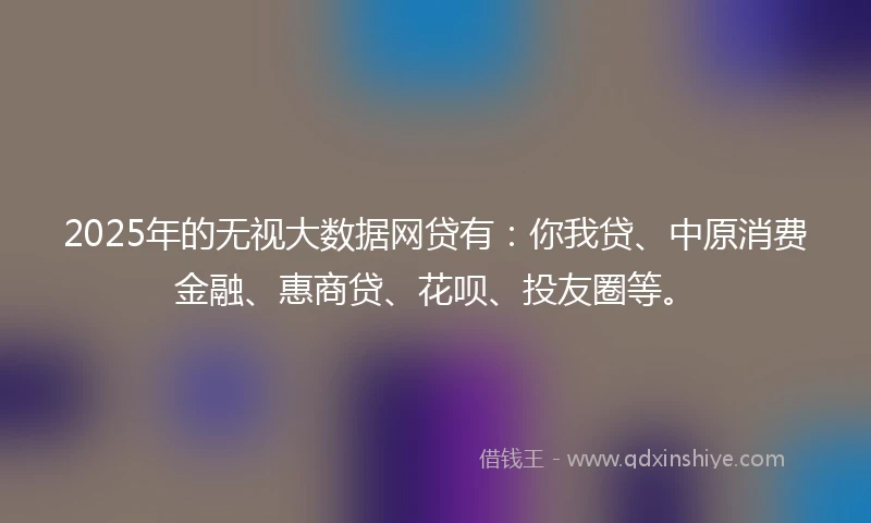 2025年的无视大数据网贷有：你我贷、中原消费金融、惠商贷、花呗、投友圈等。
