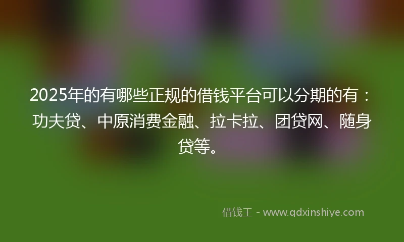 2025年的有哪些正规的借钱平台可以分期的有：功夫贷、中原消费金融、拉卡拉、团贷网、随身贷等。