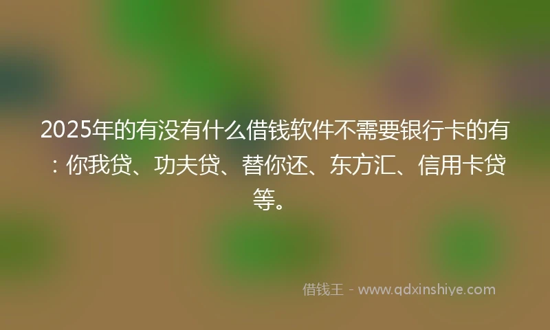 2025年的有没有什么借钱软件不需要银行卡的有：你我贷、功夫贷、替你还、东方汇、信用卡贷等。