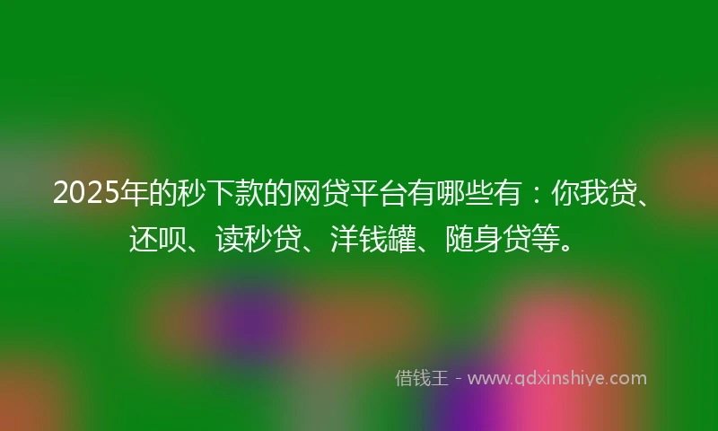 2025年的秒下款的网贷平台有哪些有：你我贷、还呗、读秒贷、洋钱罐、随身贷等。