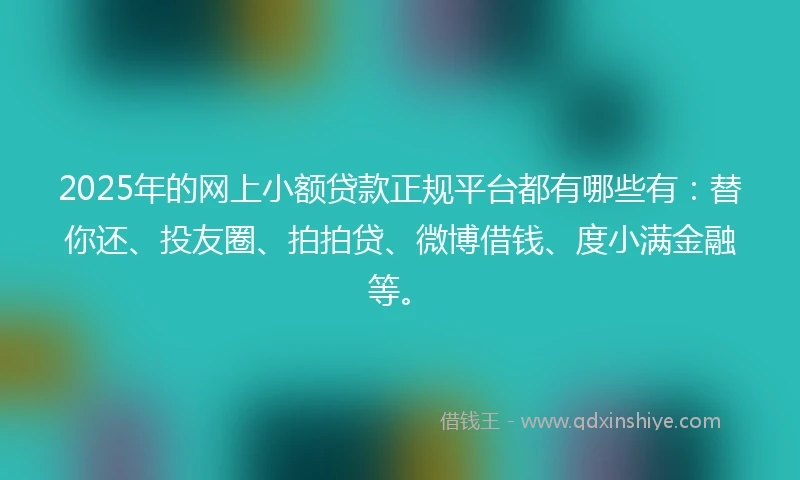 2025年的网上小额贷款正规平台都有哪些有：替你还、投友圈、拍拍贷、微博借钱、度小满金融等。