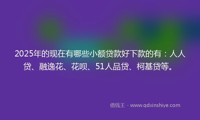 2025年的现在有哪些小额贷款好下款的有：人人贷、融逸花、花呗、51人品贷、柯基贷等。