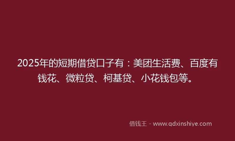 2025年的短期借贷口子有：美团生活费、百度有钱花、微粒贷、柯基贷、小花钱包等。