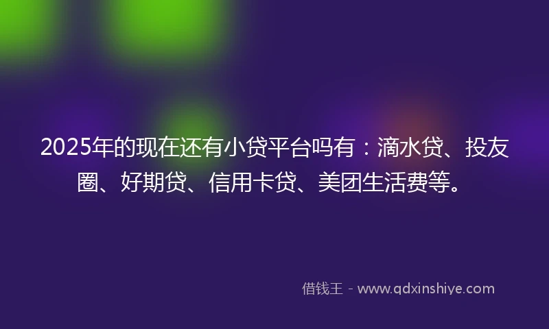 2025年的现在还有小贷平台吗有：滴水贷、投友圈、好期贷、信用卡贷、美团生活费等。