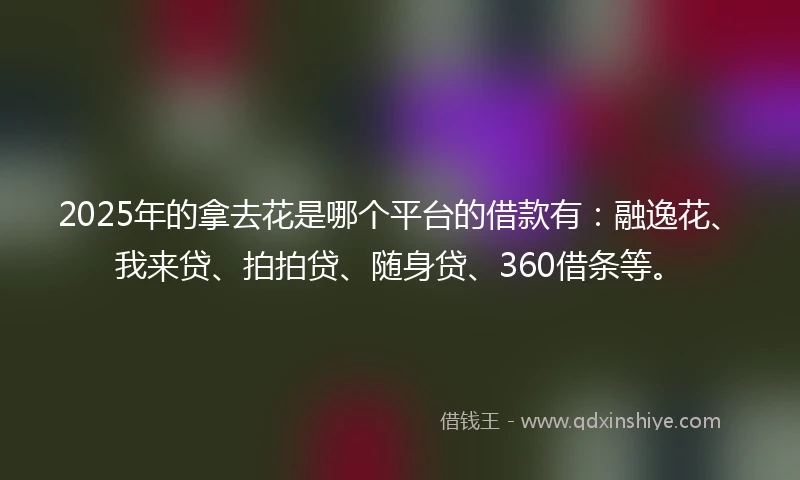 2025年的拿去花是哪个平台的借款有：融逸花、我来贷、拍拍贷、随身贷、360借条等。