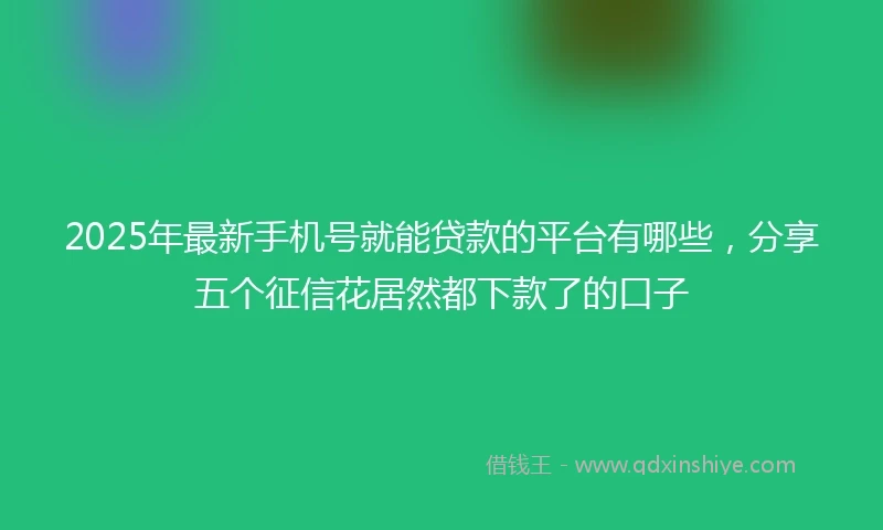 2025年最新手机号就能贷款的平台有哪些，分享五个征信花居然都下款了的口子