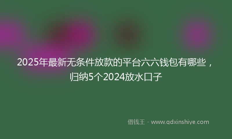 2025年最新无条件放款的平台六六钱包有哪些，归纳5个2024放水口子