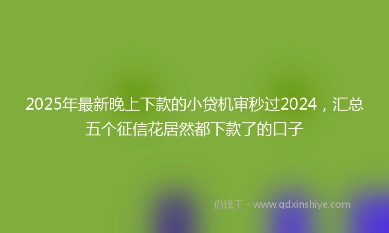 2025年最新晚上下款的小贷机审秒过2024，汇总五个征信花居然都下款了的口子