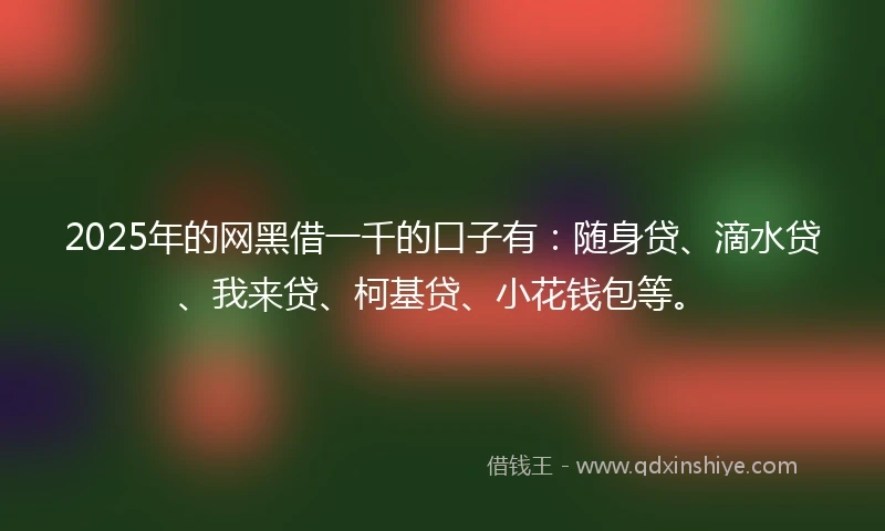 2025年的网黑借一千的口子有：随身贷、滴水贷、我来贷、柯基贷、小花钱包等。