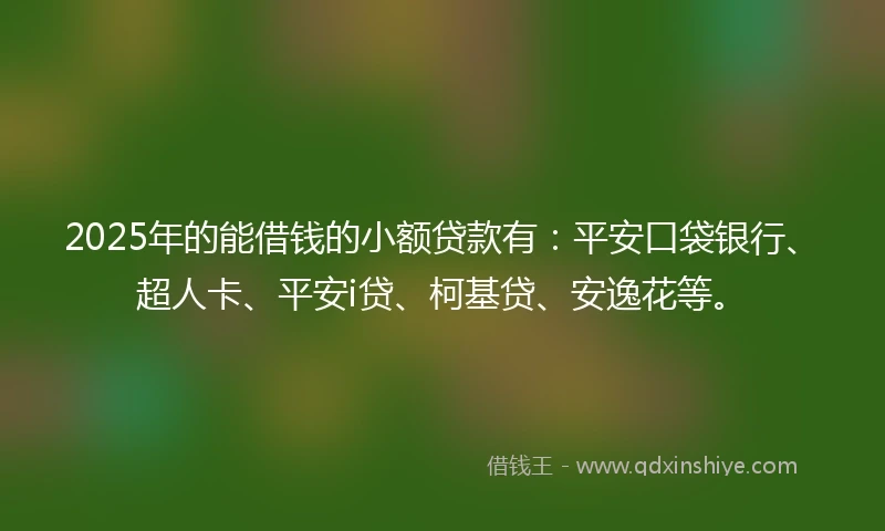 2025年的能借钱的小额贷款有：平安口袋银行、超人卡、平安i贷、柯基贷、安逸花等。