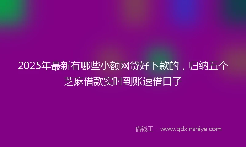 2025年最新有哪些小额网贷好下款的，归纳五个芝麻借款实时到账速借口子
