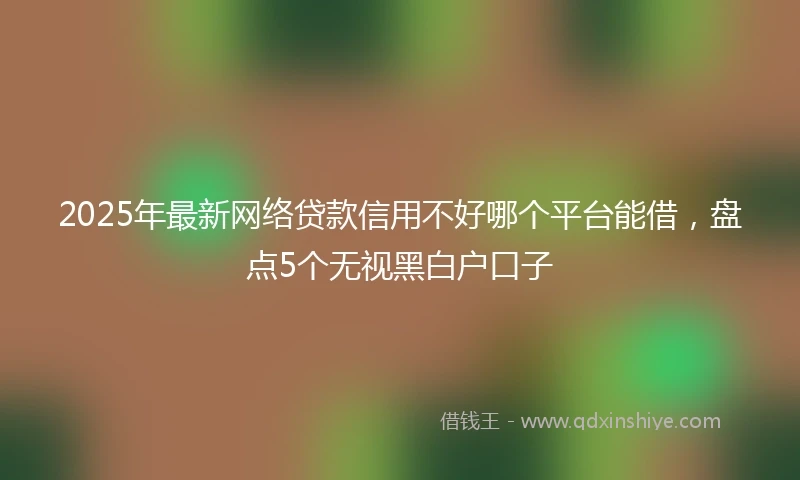 2025年最新网络贷款信用不好哪个平台能借，盘点5个无视黑白户口子