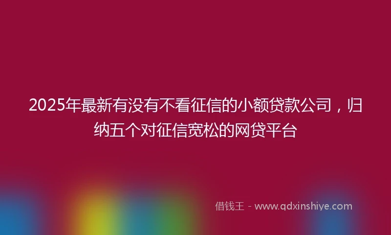 2025年最新有没有不看征信的小额贷款公司，归纳五个对征信宽松的网贷平台