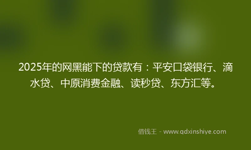 2025年的网黑能下的贷款有：平安口袋银行、滴水贷、中原消费金融、读秒贷、东方汇等。