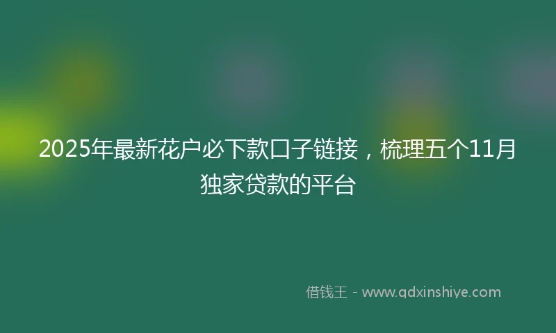 2025年最新花户必下款口子链接，梳理五个11月独家贷款的平台