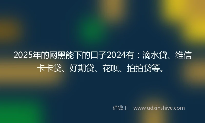 2025年的网黑能下的口子2024有：滴水贷、维信卡卡贷、好期贷、花呗、拍拍贷等。