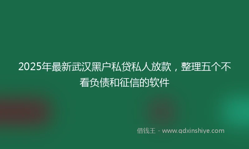 2025年最新武汉黑户私贷私人放款，整理五个不看负债和征信的软件