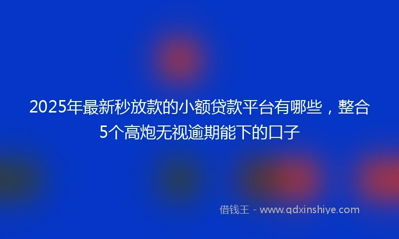 2025年最新秒放款的小额贷款平台有哪些，整合5个高炮无视逾期能下的口子