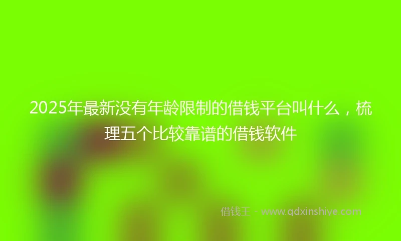 2025年最新没有年龄限制的借钱平台叫什么，梳理五个比较靠谱的借钱软件