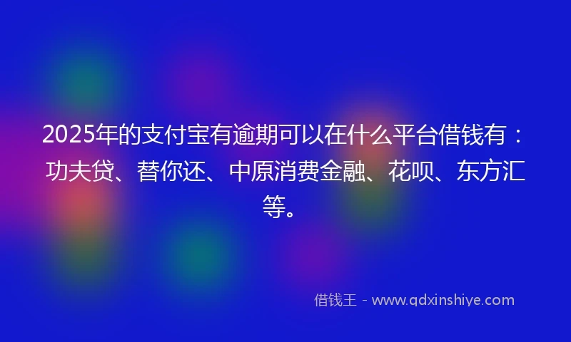 2025年的支付宝有逾期可以在什么平台借钱有：功夫贷、替你还、中原消费金融、花呗、东方汇等。