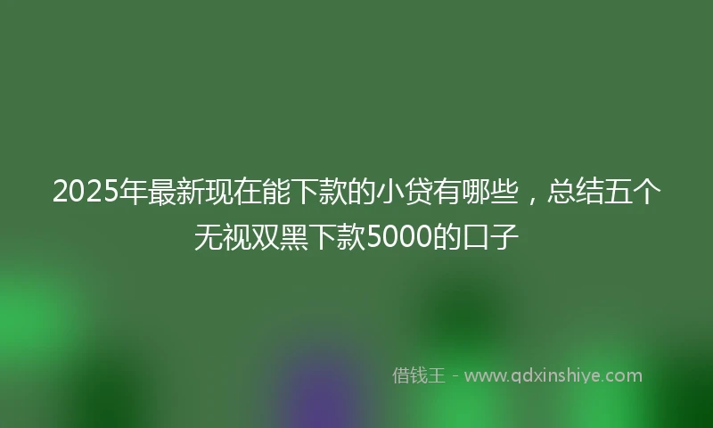2025年最新现在能下款的小贷有哪些，总结五个无视双黑下款5000的口子