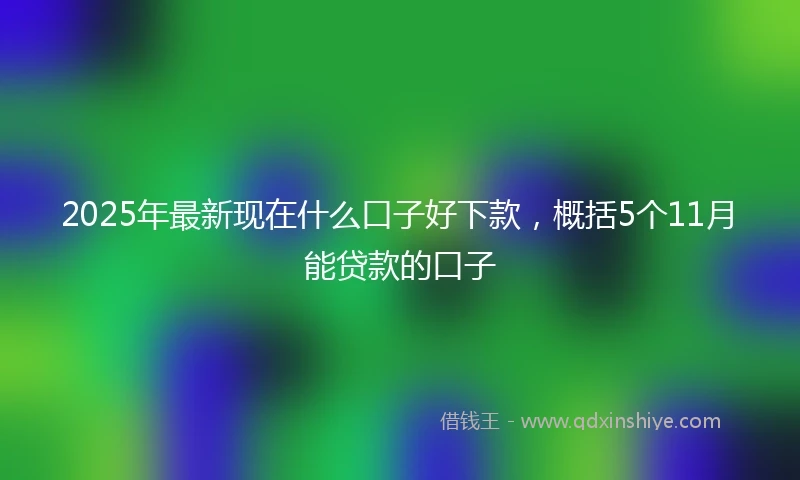 2025年最新现在什么口子好下款，概括5个11月能贷款的口子