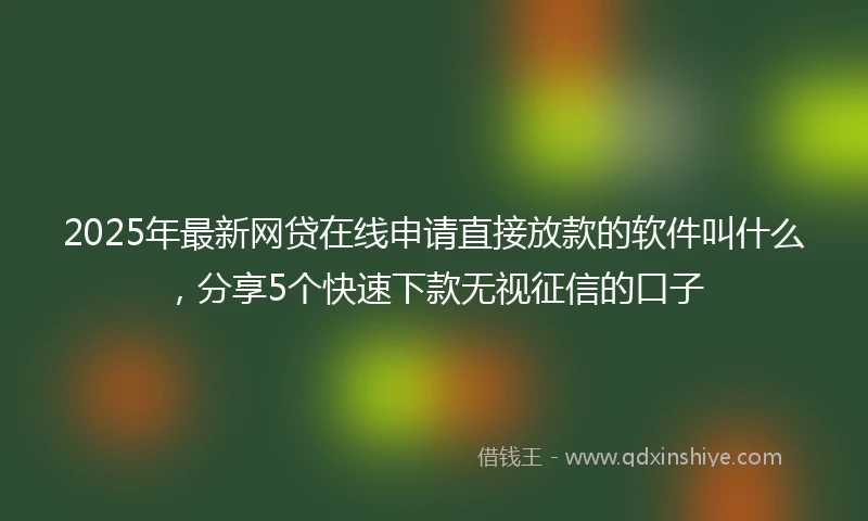 2025年最新网贷在线申请直接放款的软件叫什么，分享5个快速下款无视征信的口子
