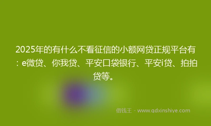 2025年的有什么不看征信的小额网贷正规平台有：e微贷、你我贷、平安口袋银行、平安i贷、拍拍贷等。
