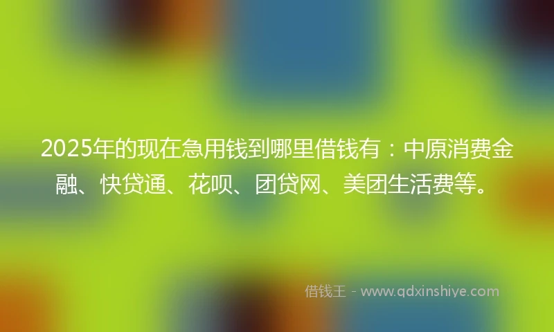 2025年的现在急用钱到哪里借钱有：中原消费金融、快贷通、花呗、团贷网、美团生活费等。