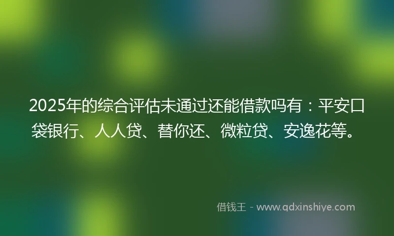 2025年的综合评估未通过还能借款吗有：平安口袋银行、人人贷、替你还、微粒贷、安逸花等。