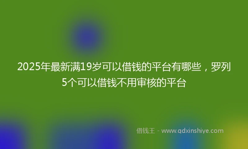 2025年最新满19岁可以借钱的平台有哪些，罗列5个可以借钱不用审核的平台