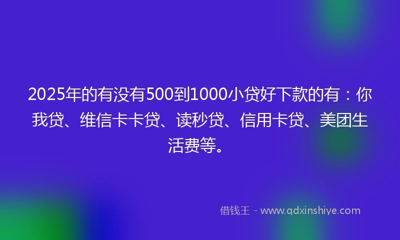 2025年的有没有500到1000小贷好下款的有：你我贷、维信卡卡贷、读秒贷、信用卡贷、美团生活费等。