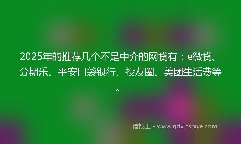 2025年的推荐几个不是中介的网贷有：e微贷、分期乐、平安口袋银行、投友圈、美团生活费等。