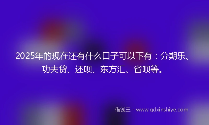 2025年的现在还有什么口子可以下有：分期乐、功夫贷、还呗、东方汇、省呗等。