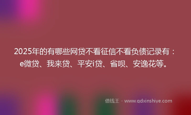 2025年的有哪些网贷不看征信不看负债记录有：e微贷、我来贷、平安i贷、省呗、安逸花等。
