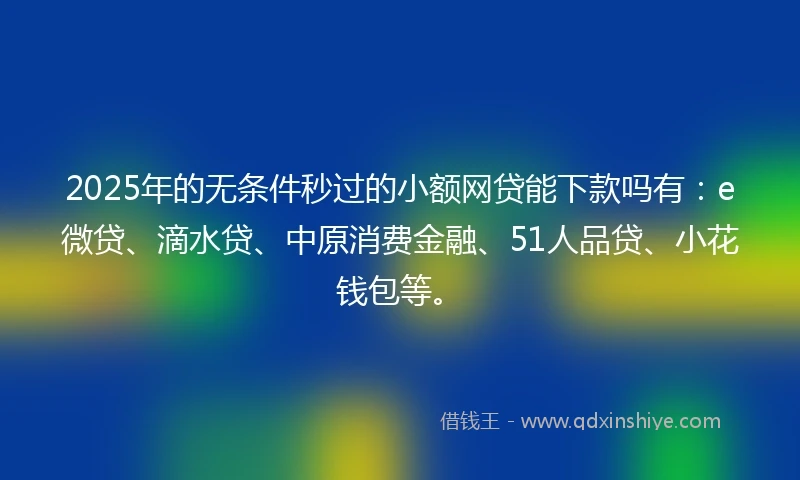 2025年的无条件秒过的小额网贷能下款吗有：e微贷、滴水贷、中原消费金融、51人品贷、小花钱包等。