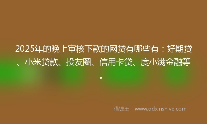 2025年的晚上审核下款的网贷有哪些有：好期贷、小米贷款、投友圈、信用卡贷、度小满金融等。