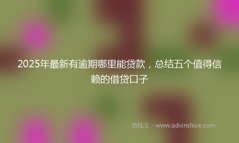 2025年最新有逾期哪里能贷款，总结五个值得信赖的借贷口子