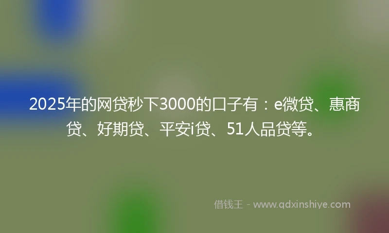 2025年的网贷秒下3000的口子有：e微贷、惠商贷、好期贷、平安i贷、51人品贷等。