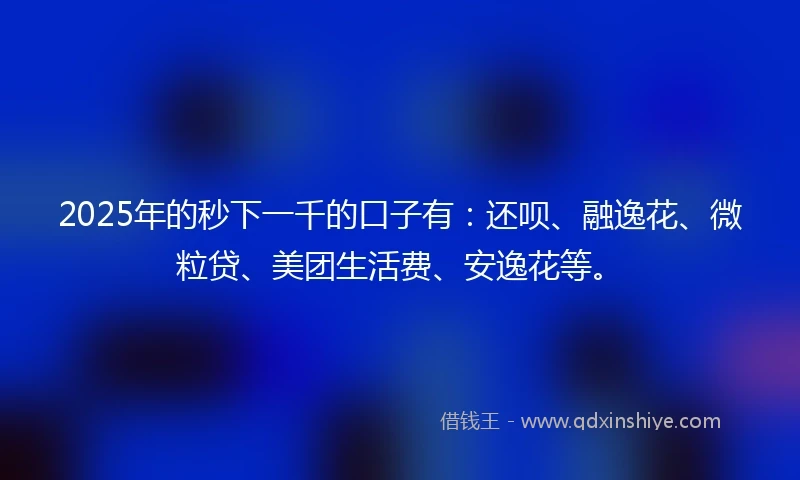 2025年的秒下一千的口子有：还呗、融逸花、微粒贷、美团生活费、安逸花等。