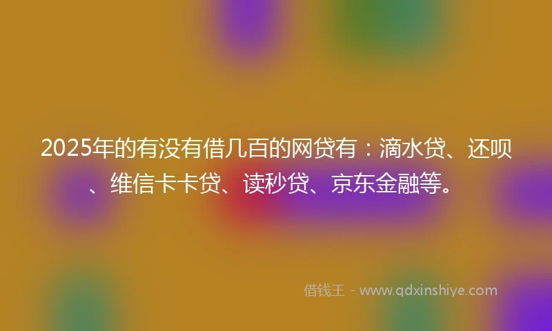 2025年的有没有借几百的网贷有：滴水贷、还呗、维信卡卡贷、读秒贷、京东金融等。