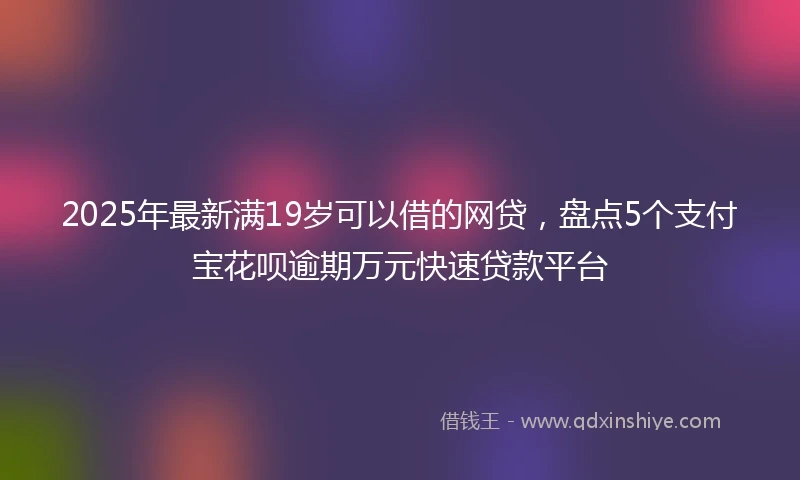 2025年最新满19岁可以借的网贷，盘点5个支付宝花呗逾期万元快速贷款平台