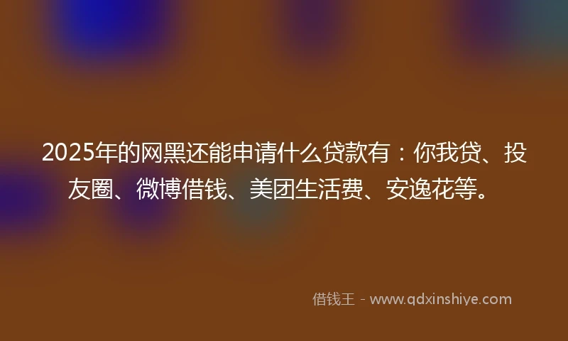 2025年的网黑还能申请什么贷款有：你我贷、投友圈、微博借钱、美团生活费、安逸花等。